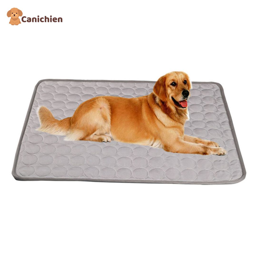 TAPIS RAFRAICHISSANT CHIEN XXL | CoolPad™