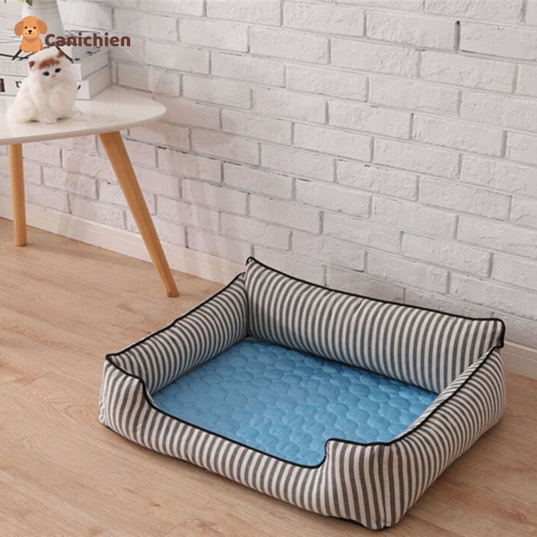 TAPIS RAFRAICHISSANT CHIEN XXL | CoolPad™