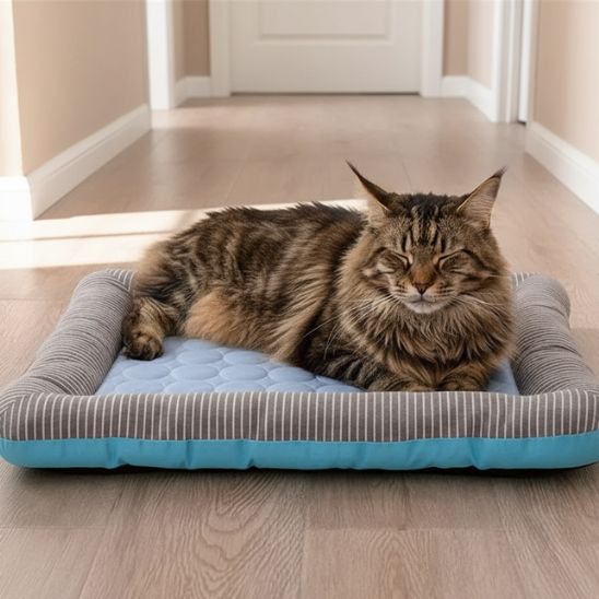 tapis rafraichissant pour chat lavable