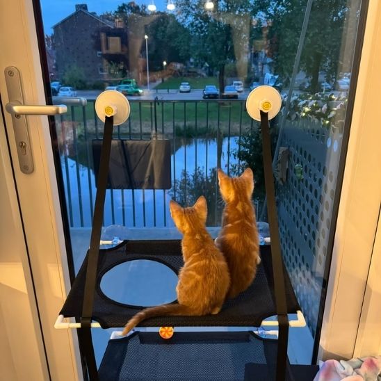 Tapis rafraîchissant pour chat | Double  Lit d’Été