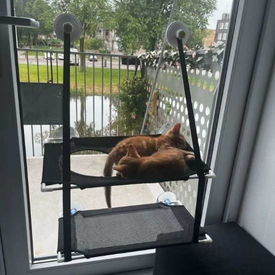 Tapis rafraîchissant pour chat | Double  Lit d’Été