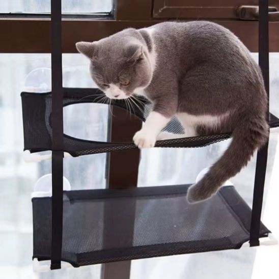 Tapis rafraîchissant pour chat | Double  Lit d’Été