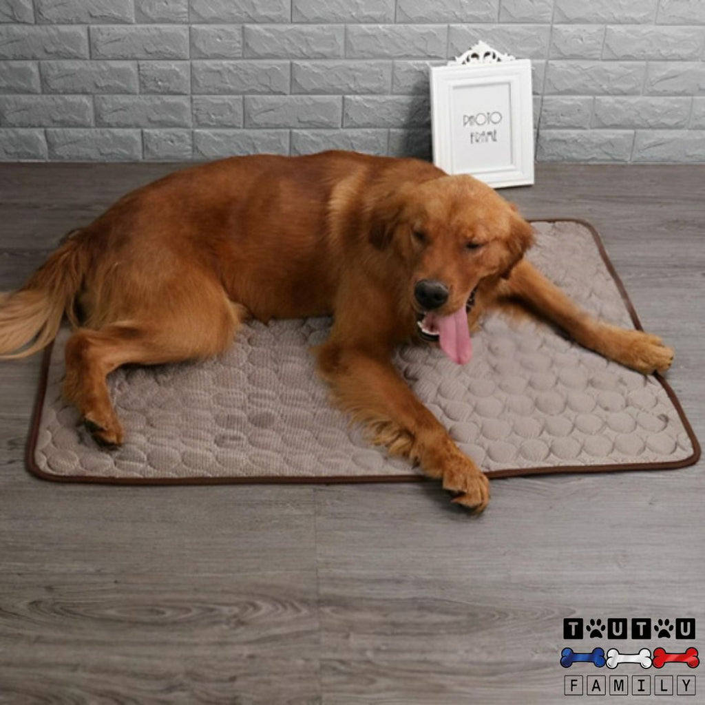 Tapis rafraîchissant pour chien - FreshToutou™