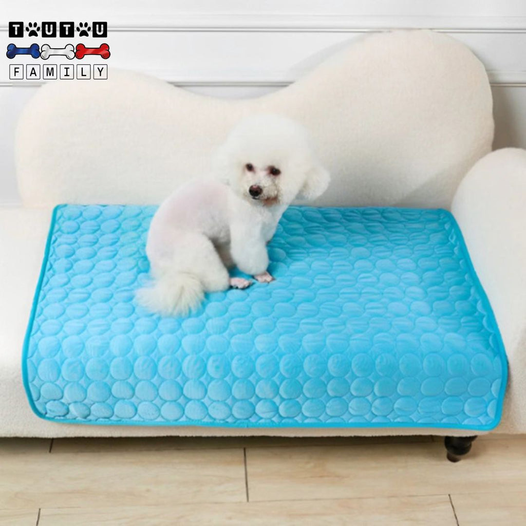 Tapis rafraîchissant pour chien - FreshToutou™