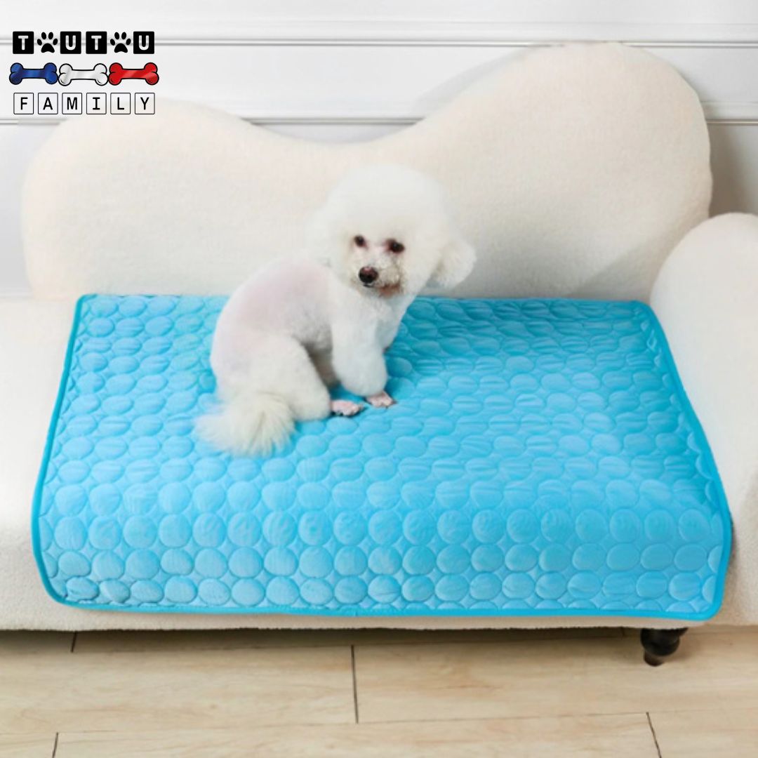 Tapis rafraîchissant pour chien - FreshToutou™