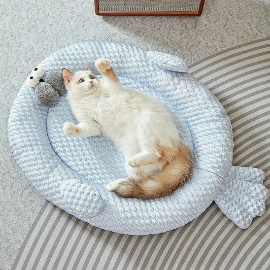 TAPIS REFRIGERANT CHAT | Poisson Rafraîchissant