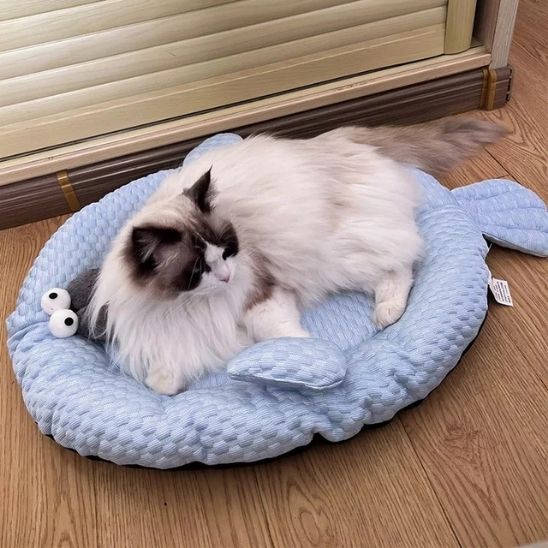 TAPIS REFRIGERANT CHAT | Poisson Rafraîchissant