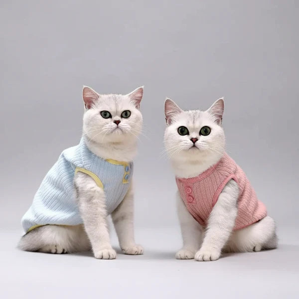 Tee-Shirt Chaud Pour Chat Confortable