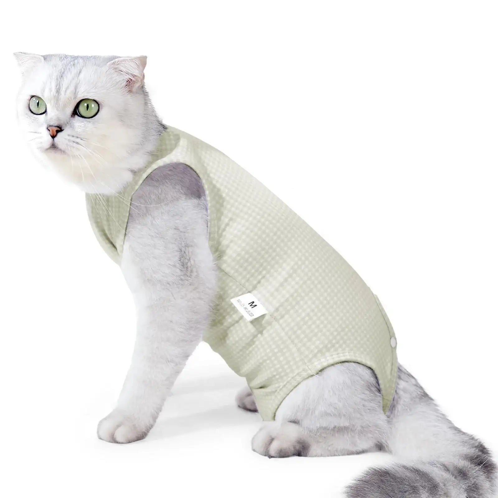 Tee-shirt post opération pour chat en mint doux, confortable et adapté à la récupération