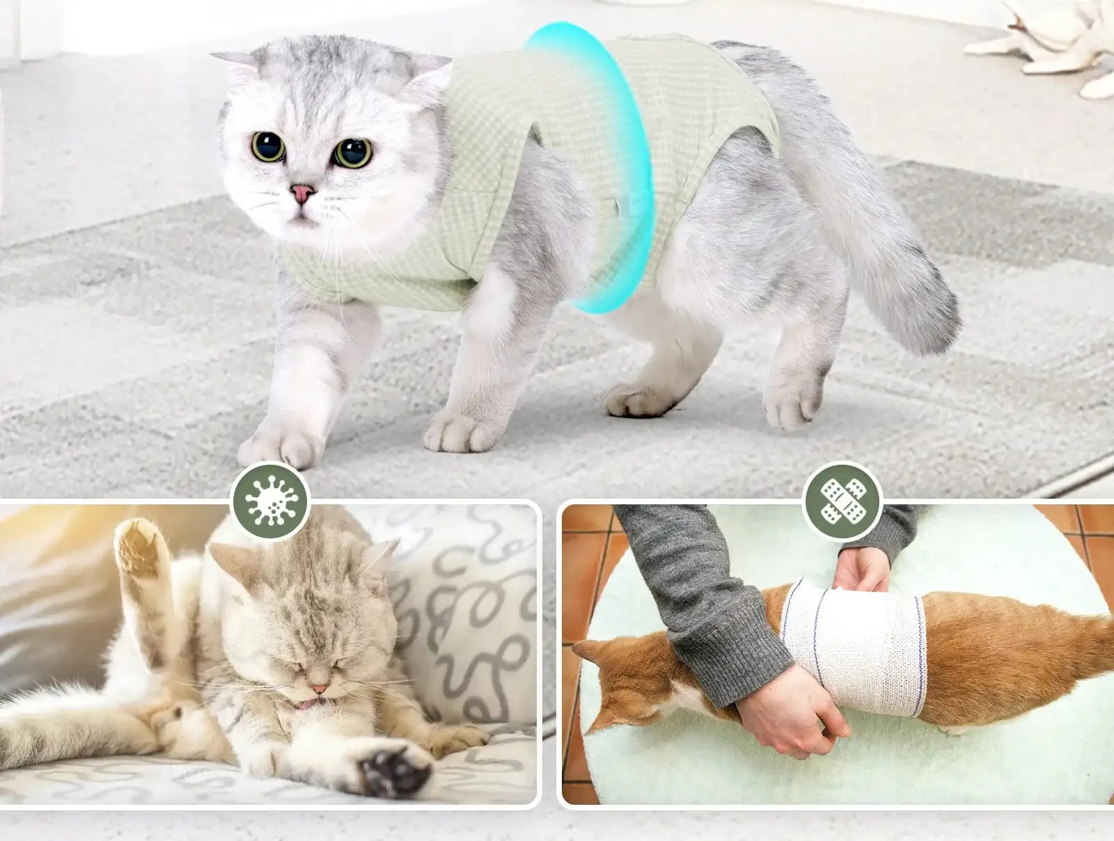 Tee-Shirt Confort Post Opération Pour Chat