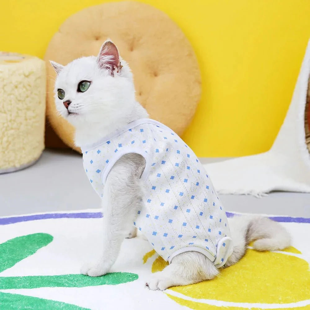 Chat blanc portant un tee-shirt post opératoire chat blanc à motifs bleus d'Oscar et Plume