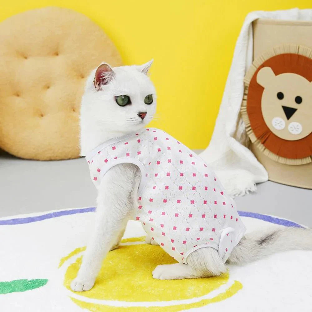Chat blanc portant un tee-shirt post opératoire chat à motifs roses pour protection après chirurgie