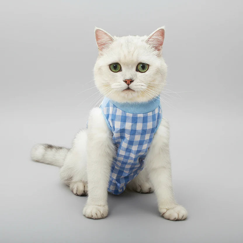 Tee-shirt Post Opératoire Pour Chat