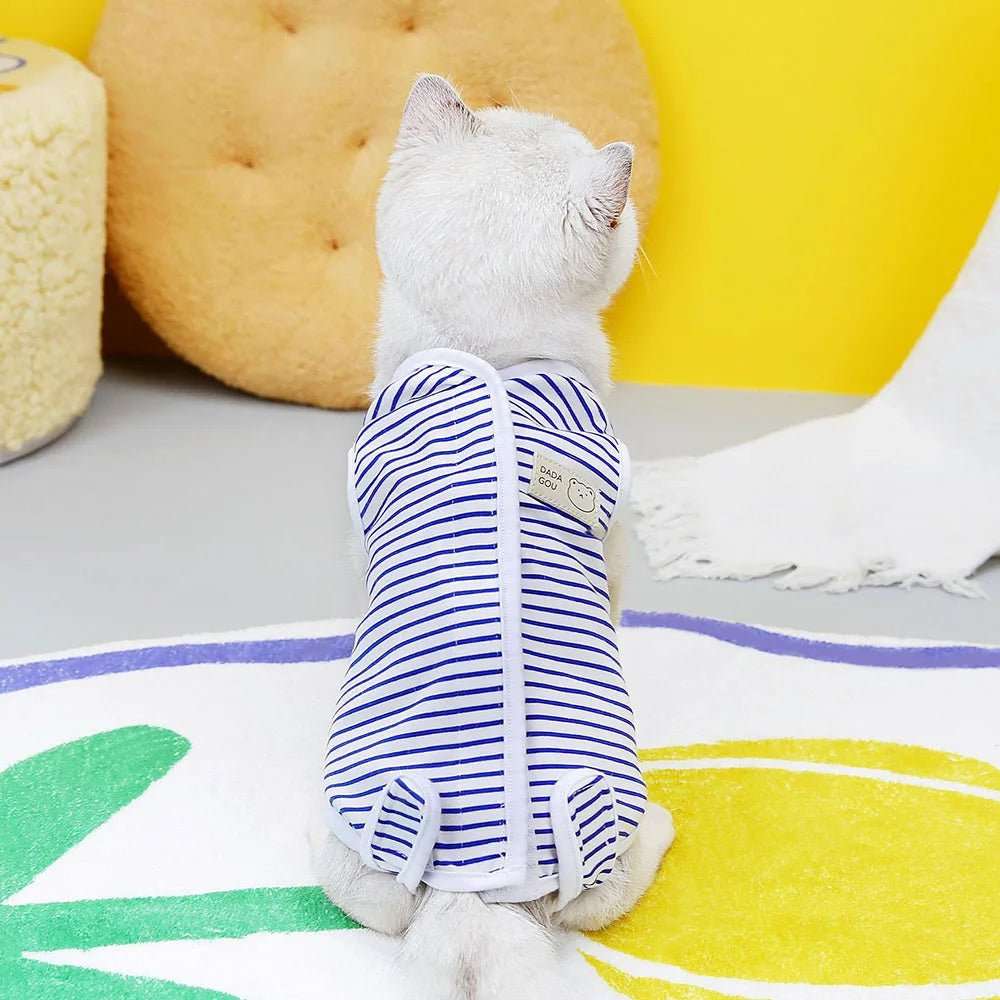 Tee-Shirt Post Opératoire Pour Chat