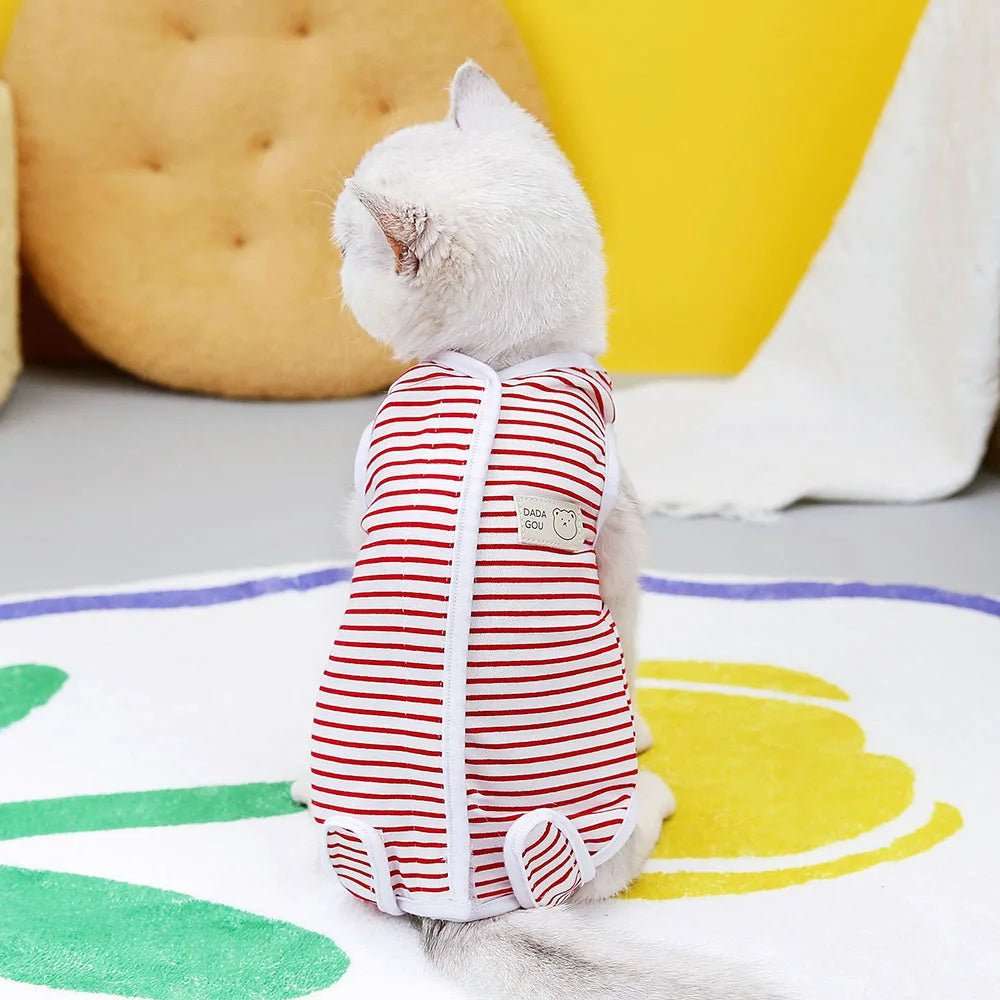 Tee-Shirt Post Opératoire Pour Chat