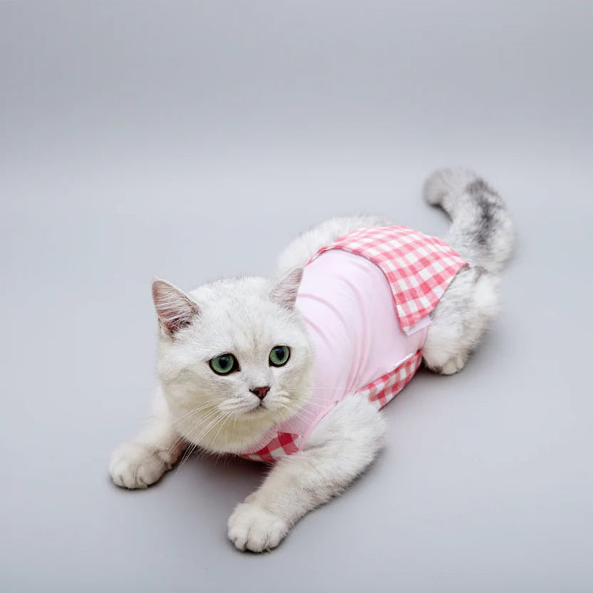 Tee-shirt Post Opératoire Pour Chat