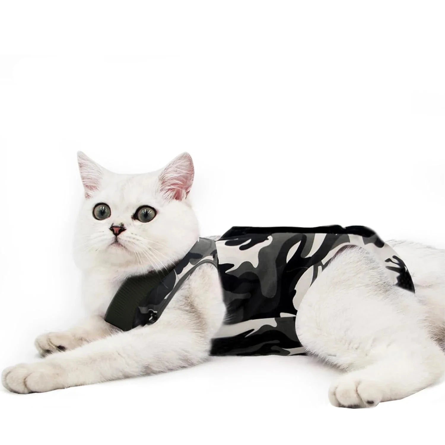 Tee-Shirt Post Opératoire Pour Chat