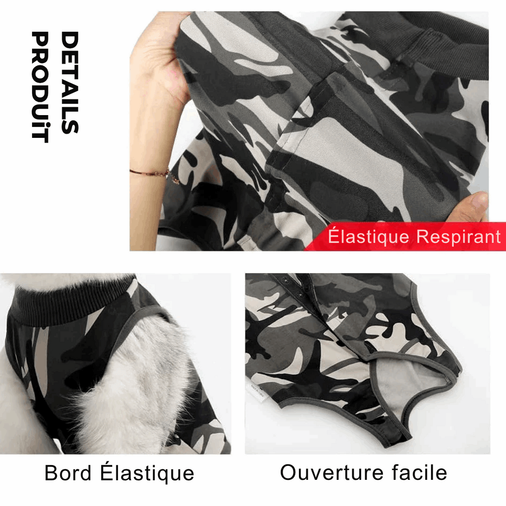 Tee-Shirt Post Opératoire Pour Chat