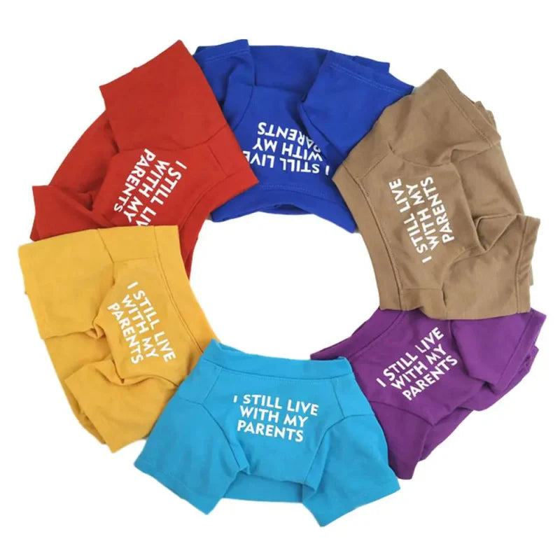 Tee Shirt pour Bouledogue Français