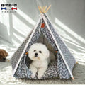 tipi-pour-chien-tente-petit-chien-un-bichon-couché-confortablement-sur-son-coussin-épais-avec-sa-toile-en-100%-coton-et-sa-toile-lavable-et-amovible-pliable-et-transportable-idéal-pour-les-petites-espaces