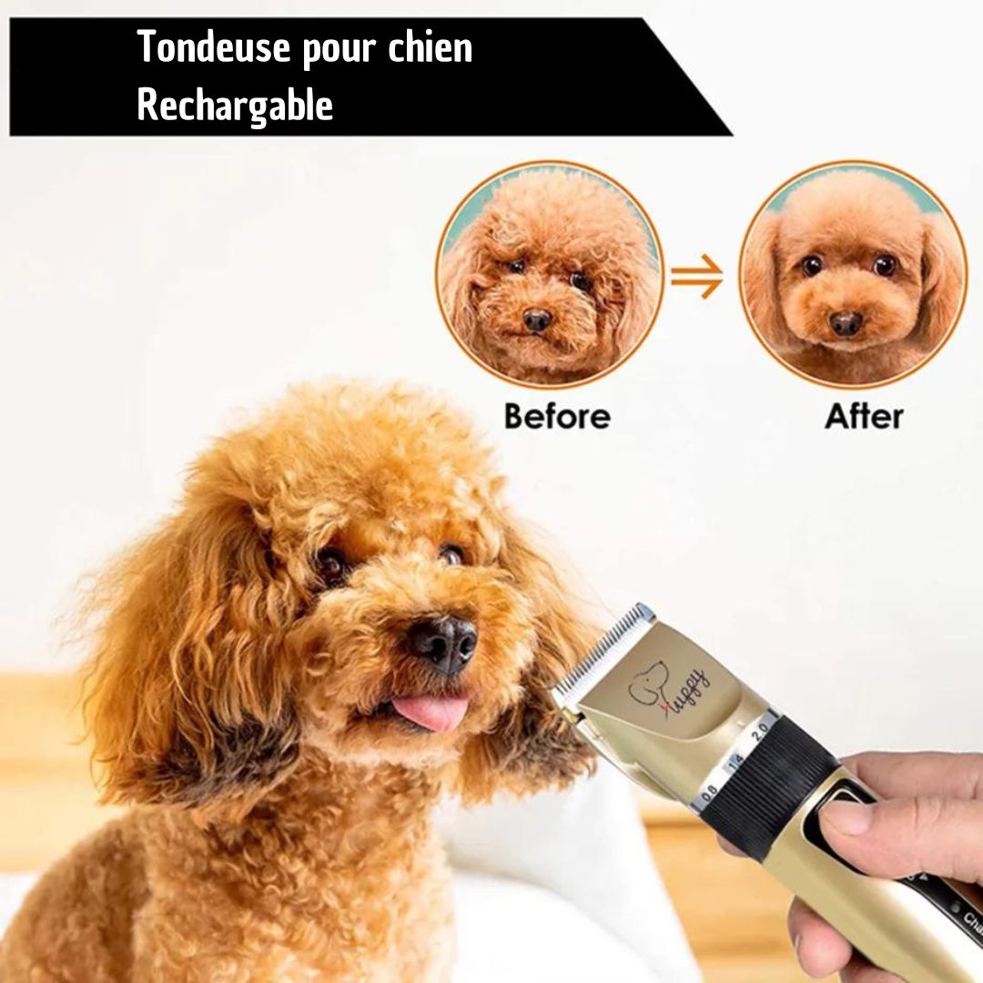 Tondeuse pour chien | GROOMPro™