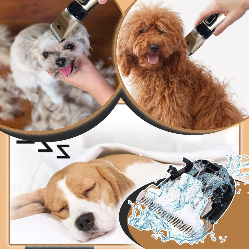 Tondeuse pour chien | GROOMPro™