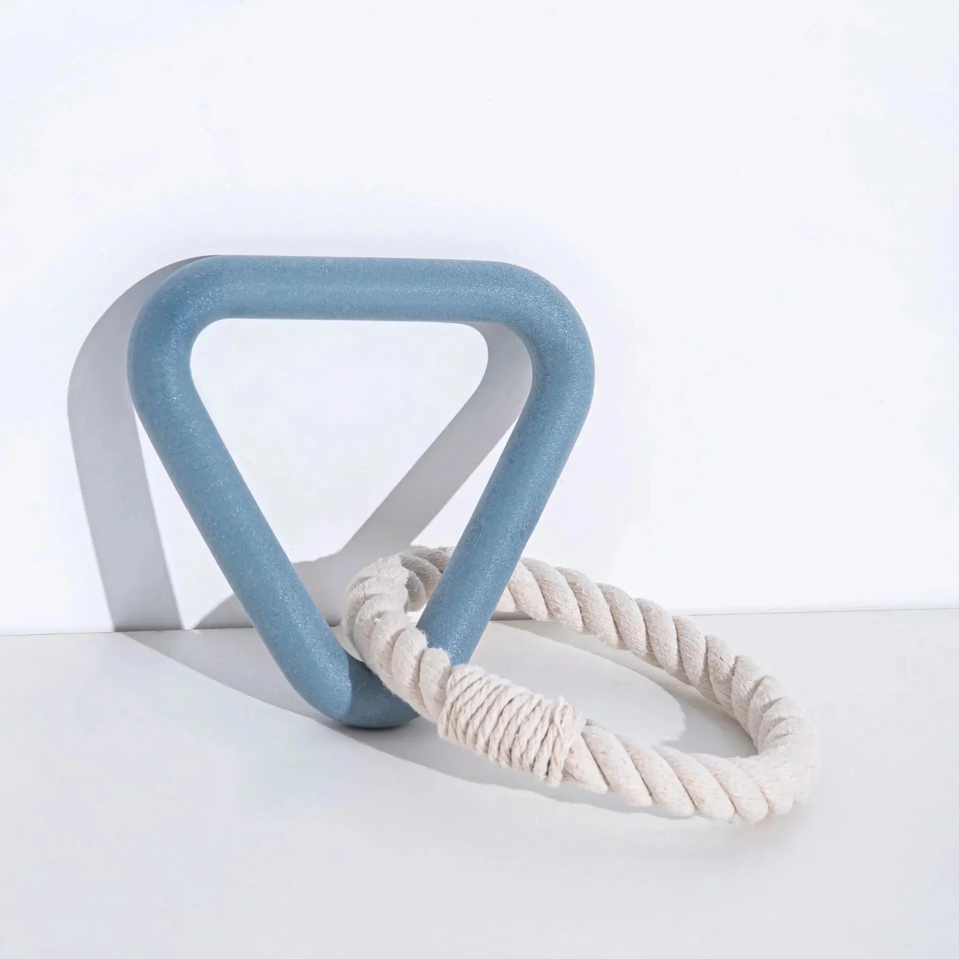 Jouet chien caoutchouc forme triangulaire bleu avec corde tressée blanche pour jeu interactif