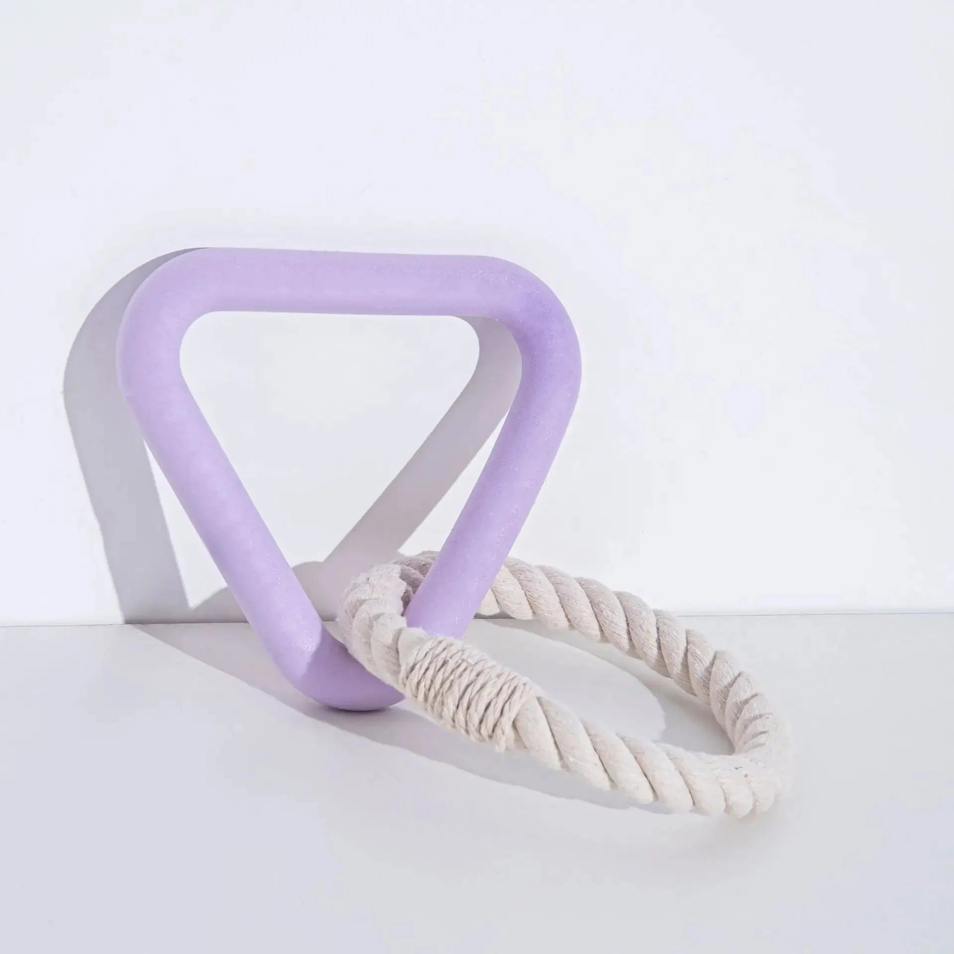 Jouet chien caoutchouc triangle violet avec corde tressée blanche pour jeu et entraînement