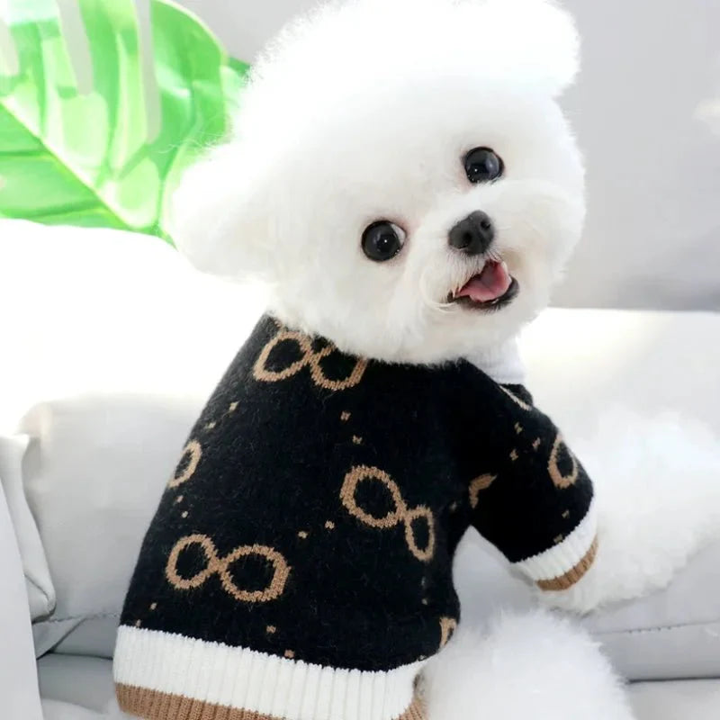 Tricot pour Chien