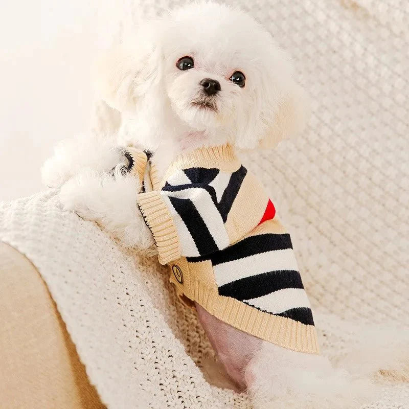 Tricot pour Chien