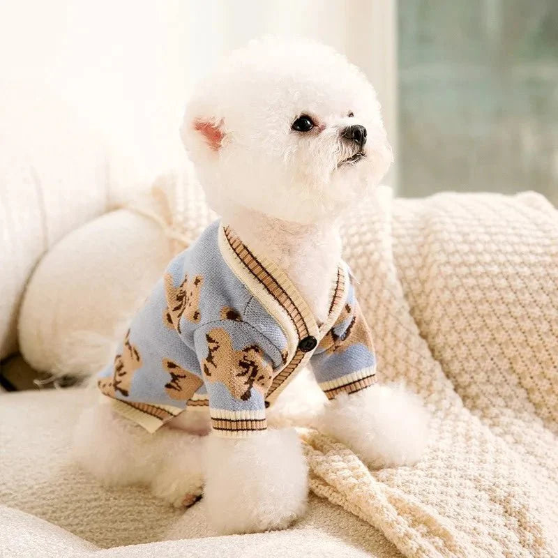 tricot chien pull