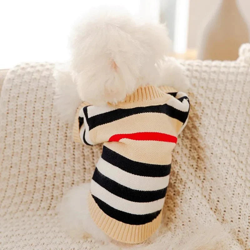 Tricot pour Chien