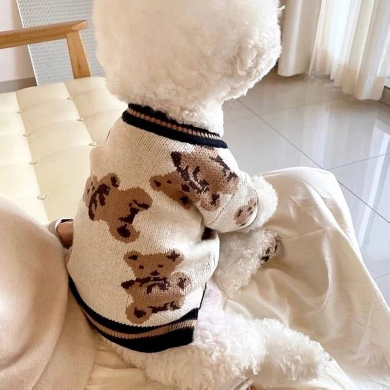 Tricot pour Chien