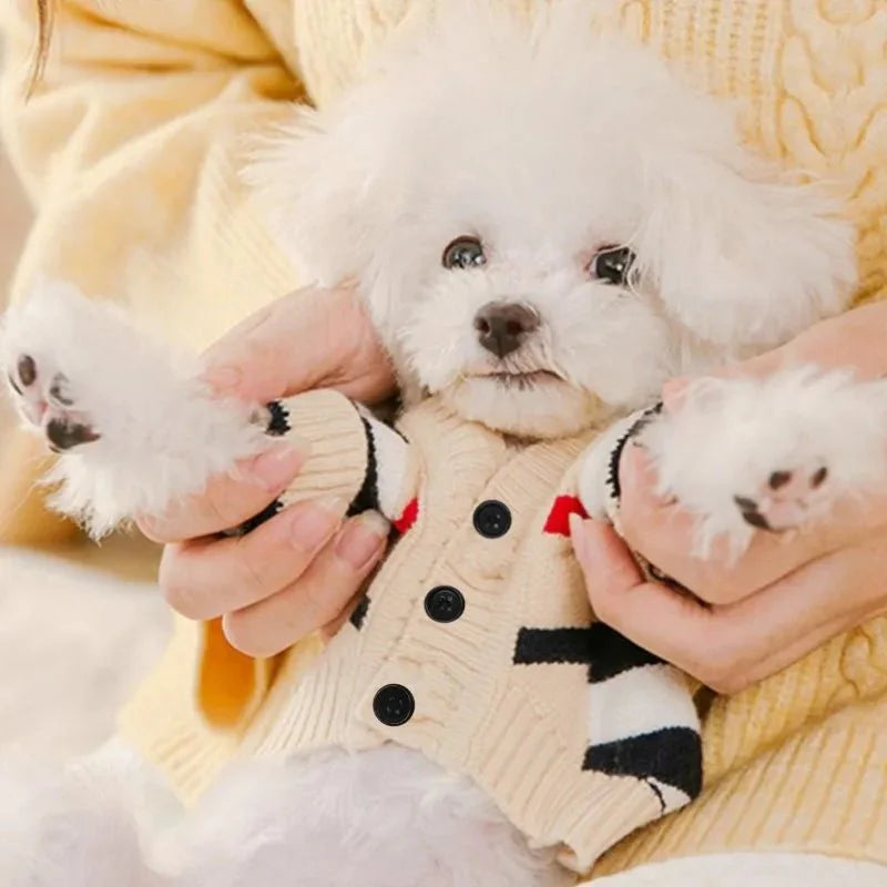 Tricot pour Chien