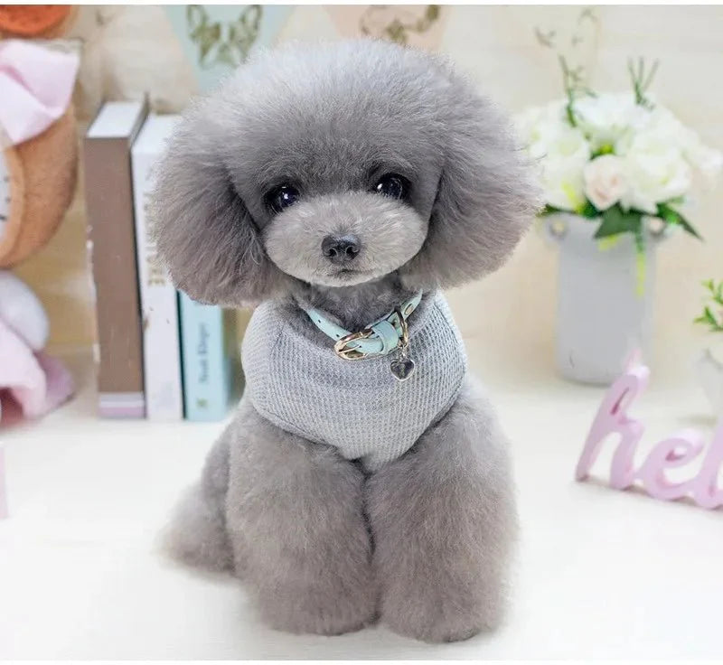 T-Shirt Coton Chien Style Confortable