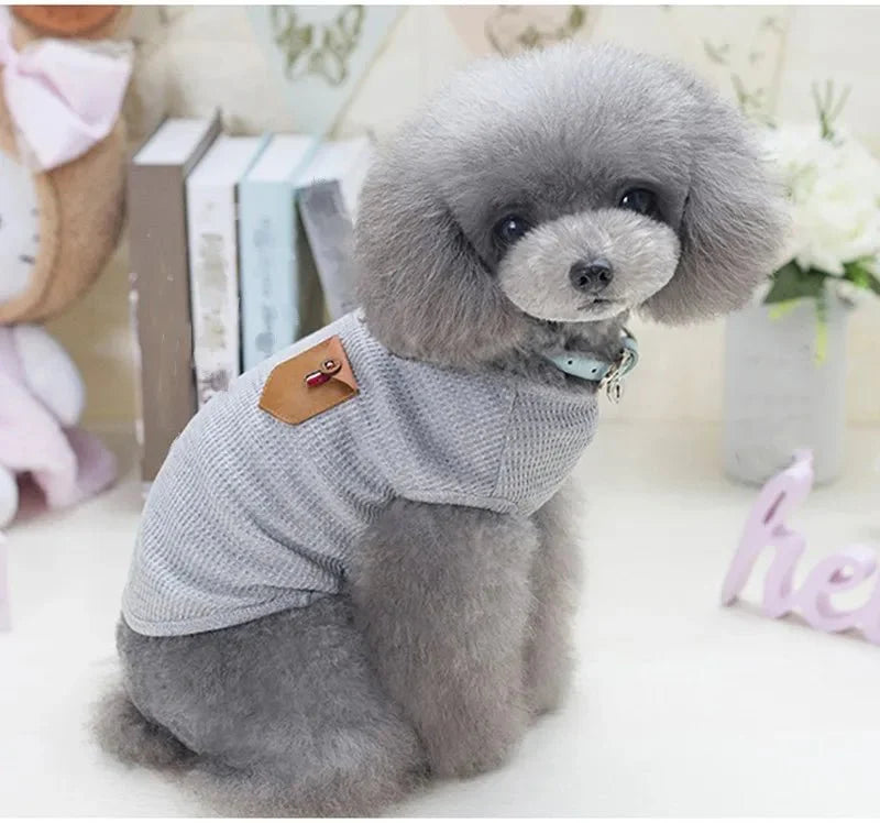 T-Shirt Coton Chien Style Confortable
