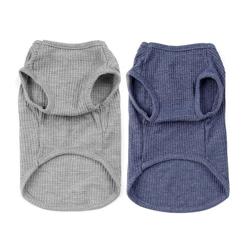T-Shirt Coton Chien Style Confortable