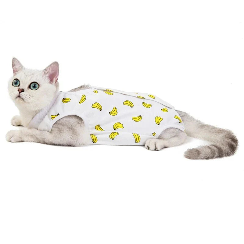 T-Shirt Post Opératoire Pour Chat - Motifs Colorés