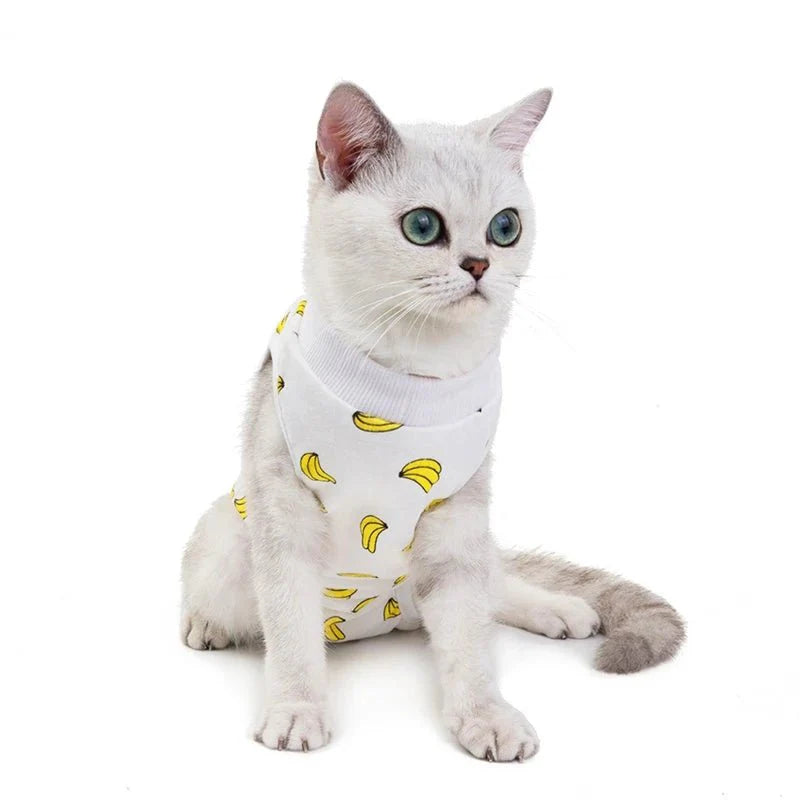 T-Shirt Post Opératoire Pour Chat - Motifs Colorés