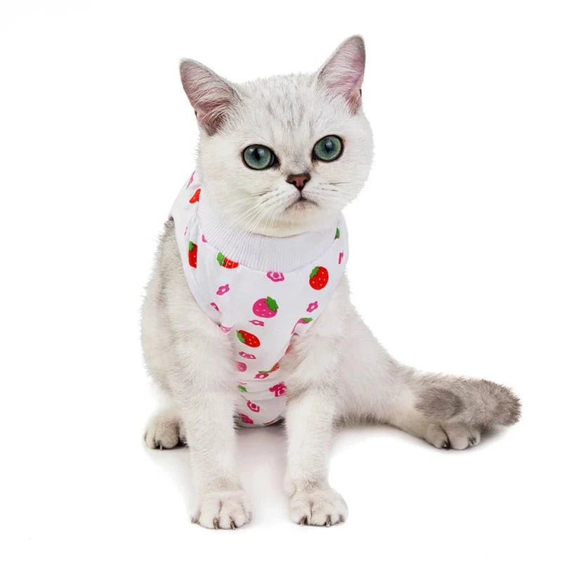 T-Shirt Post Opératoire Pour Chat - Motifs Colorés