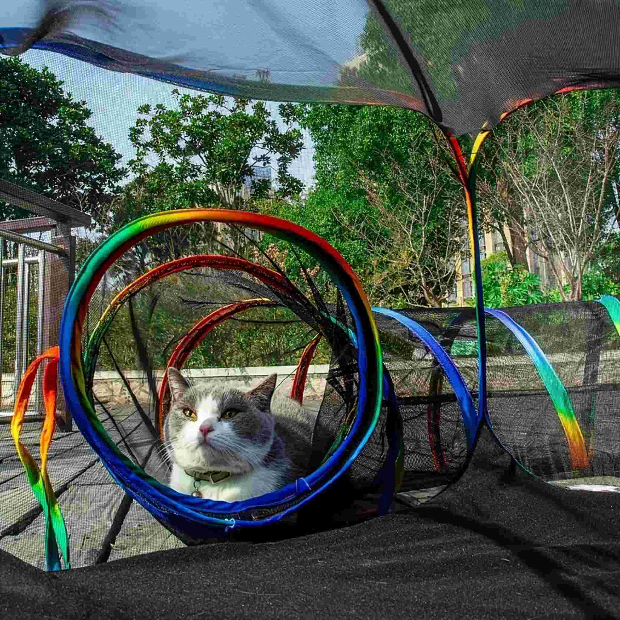 TUNNEL A CHAT PARC