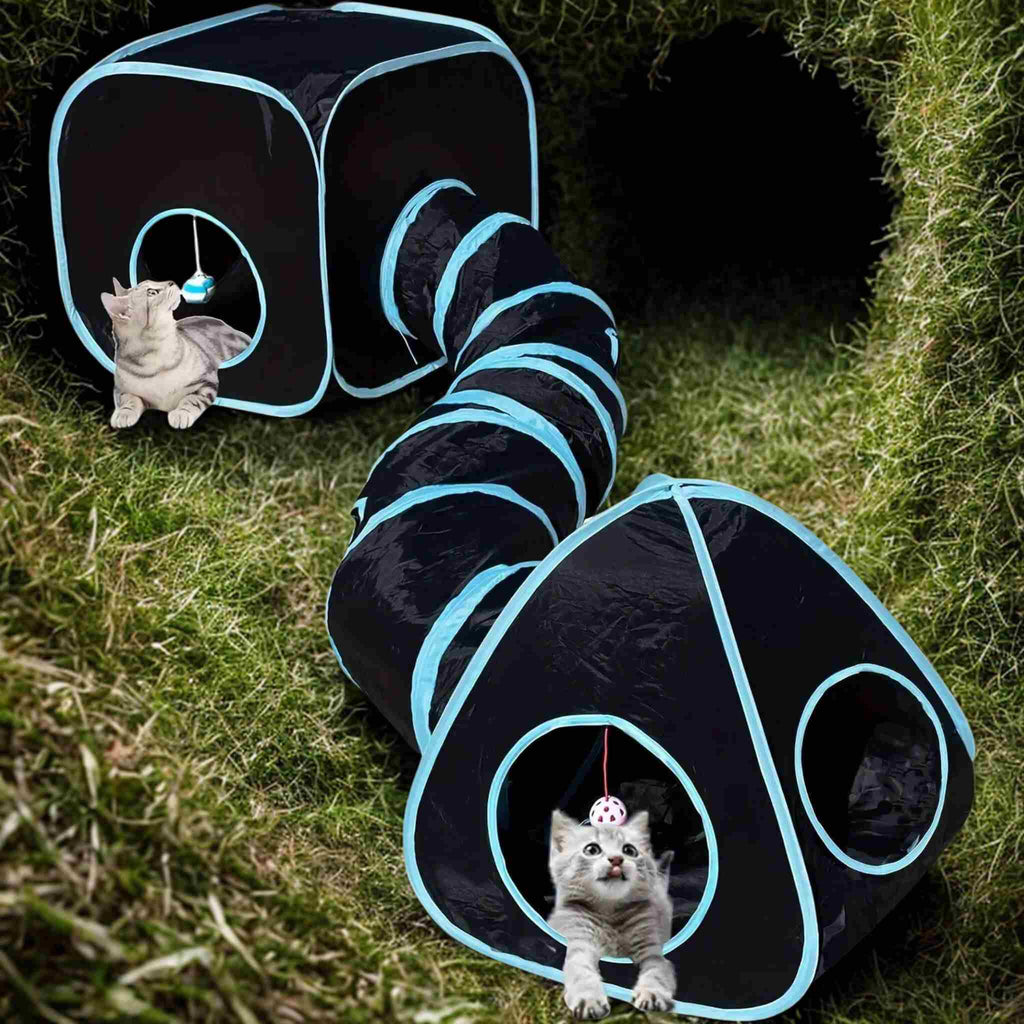 tunnel chat |  Le Labyrinthe des Ronrons