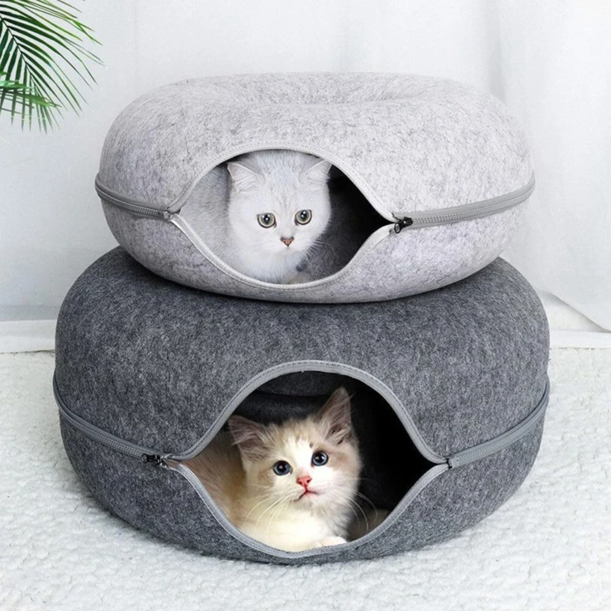 tunnel chat | Donut Amusant