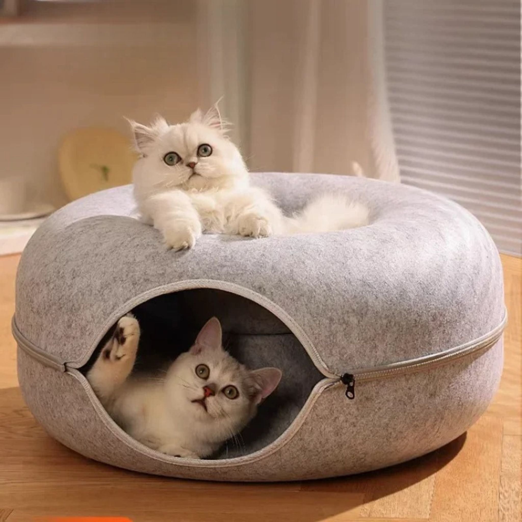tunnel chat | Donut Amusant