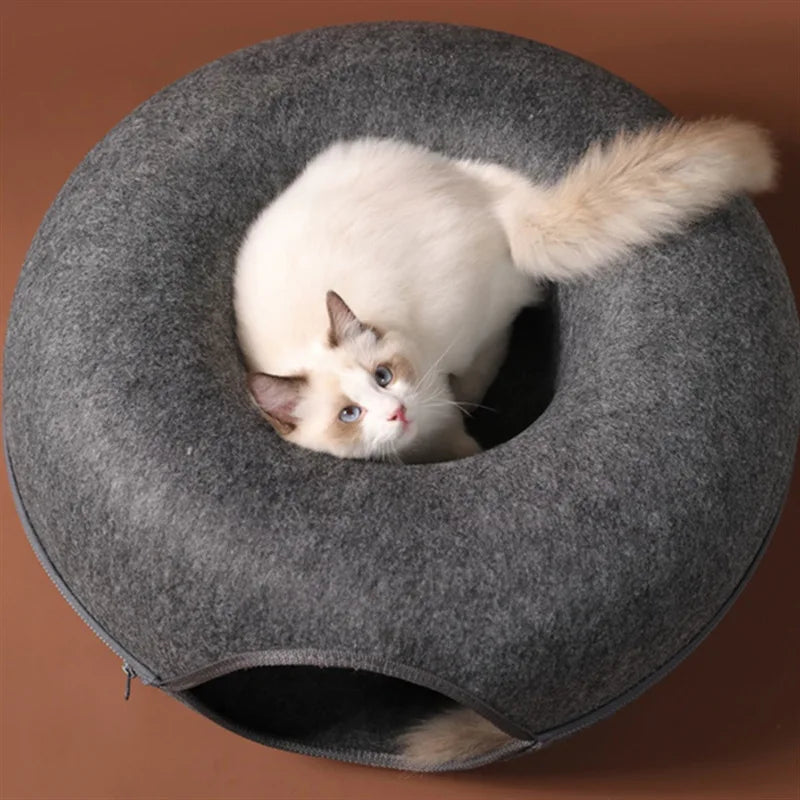 tunnel chat | Donut Amusant