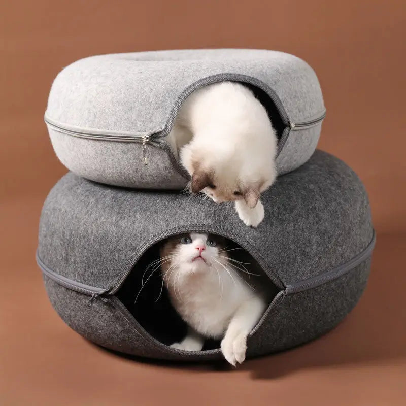 tunnel chat | Donut Amusant