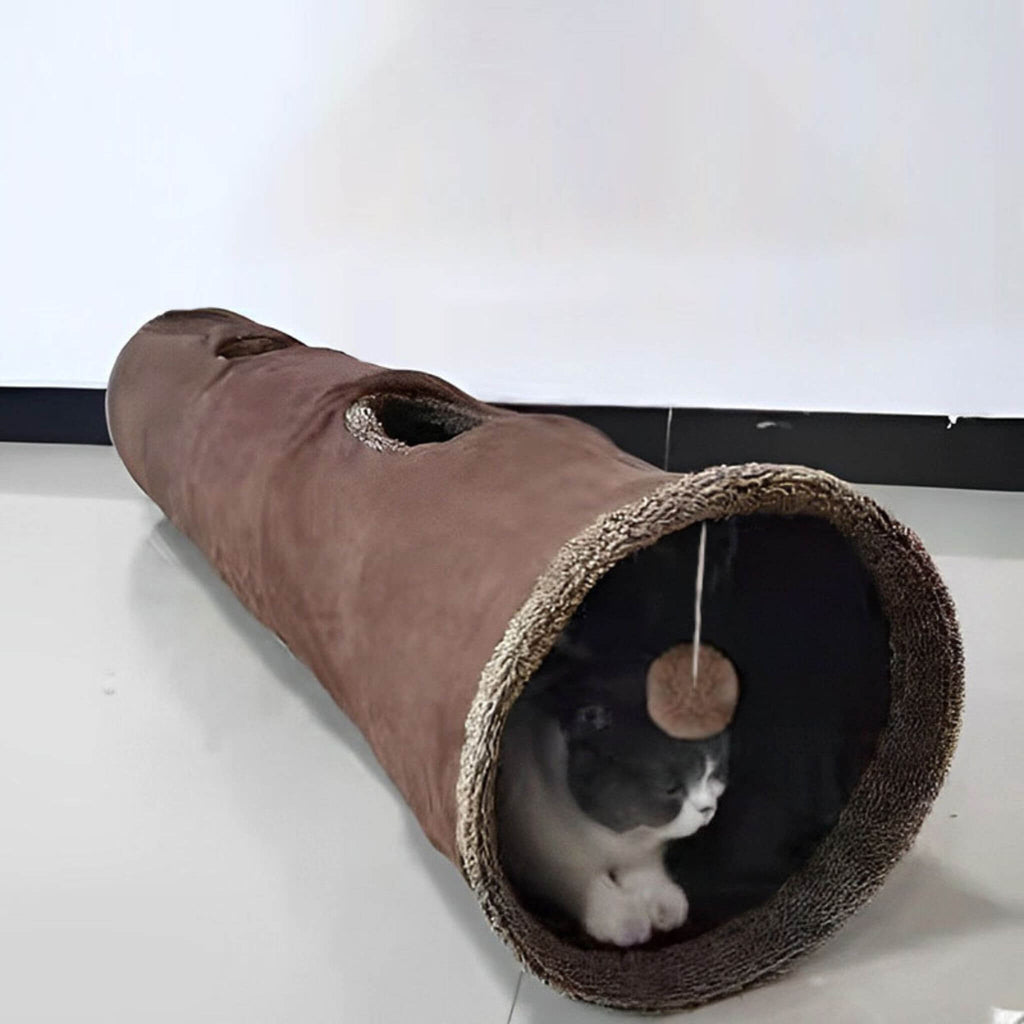 tunnel chat | La Piste des Pattes