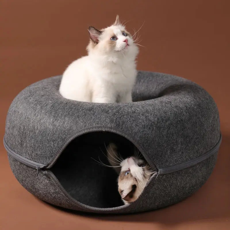 tunnel-chat-mignon