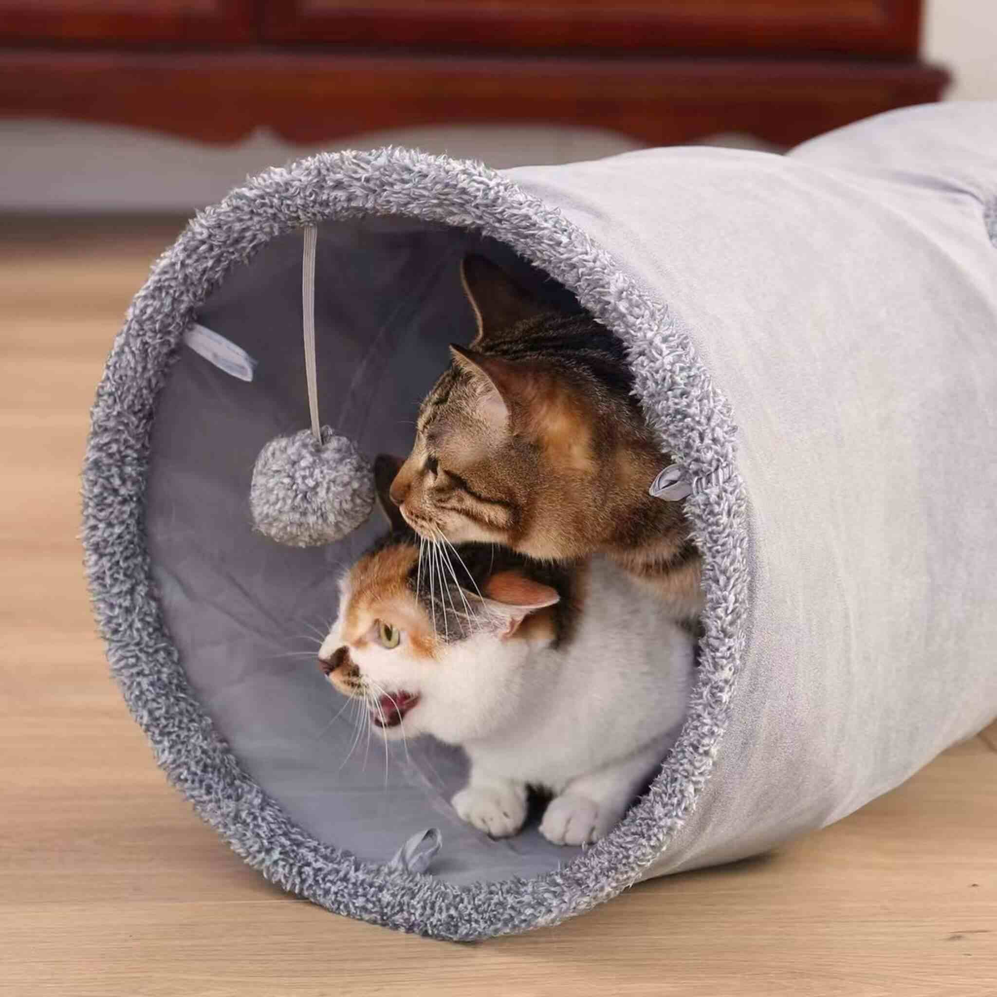 tunnel chat | La Piste des Pattes
