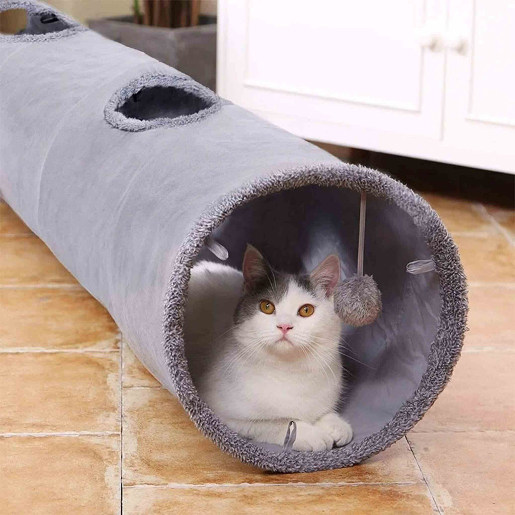 tunnel chat | La Piste des Pattes